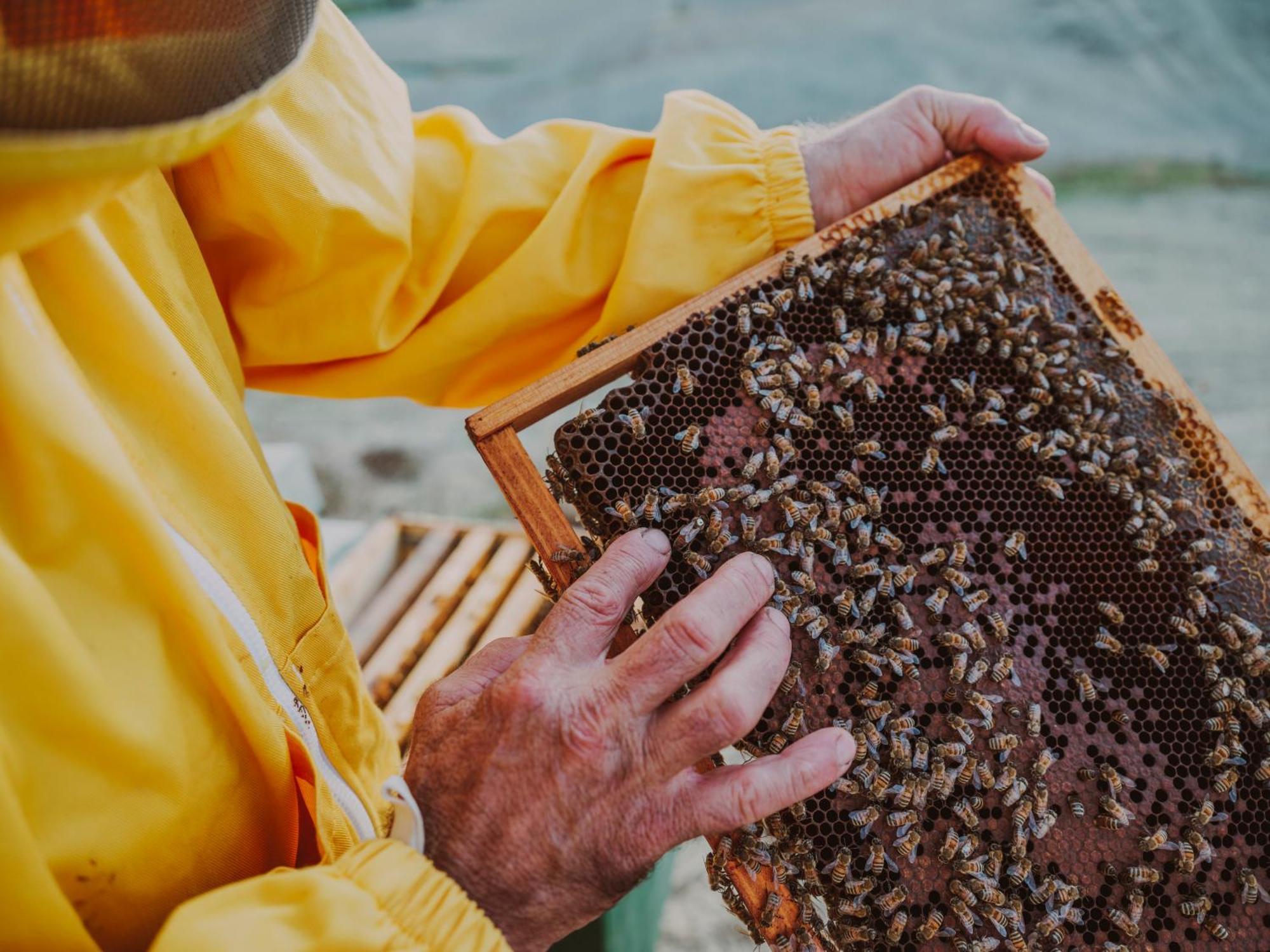 Agriturismo Biologico Diacceroni 빌라마그냐 외부 사진