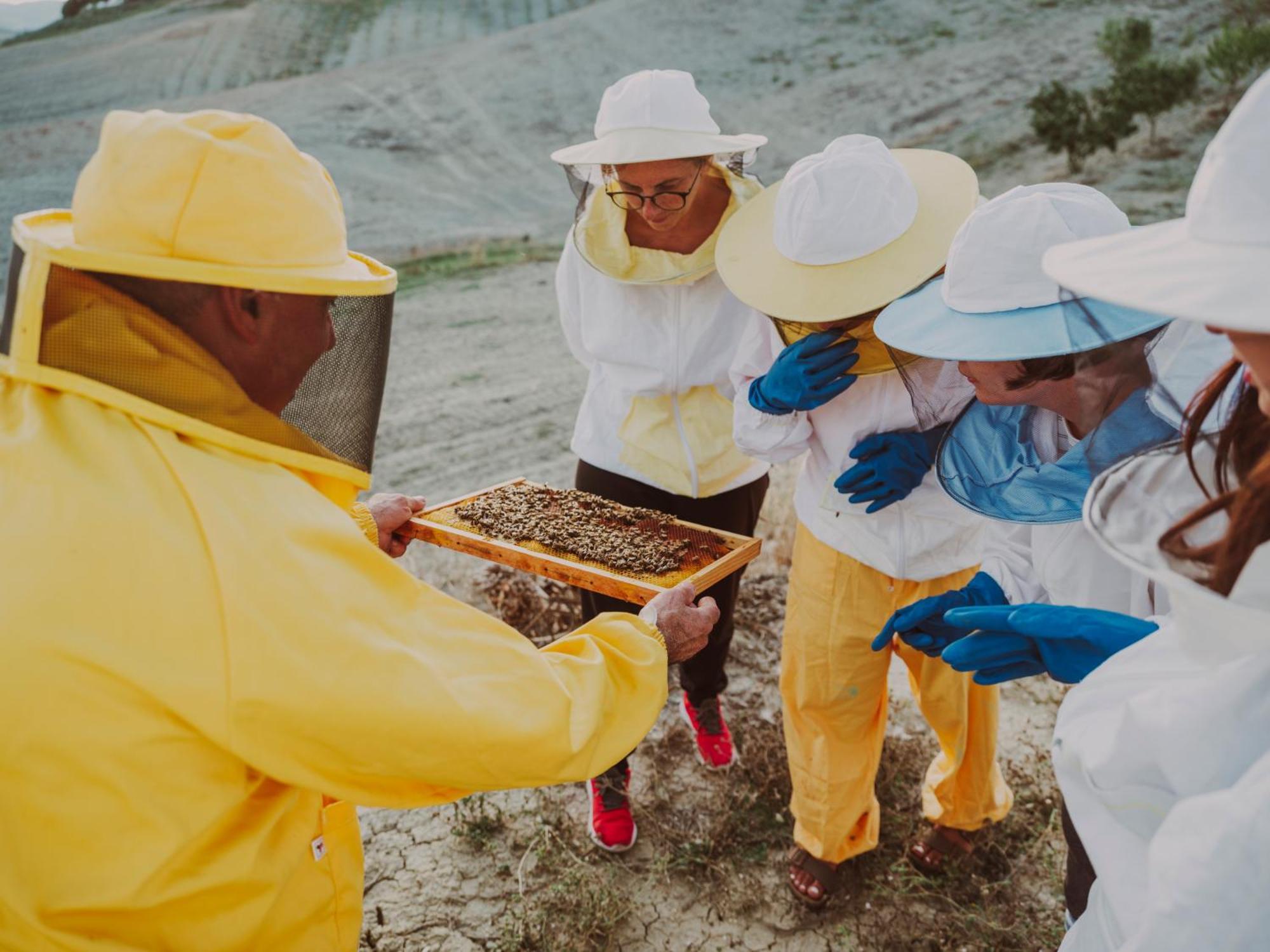 Agriturismo Biologico Diacceroni 빌라마그냐 외부 사진