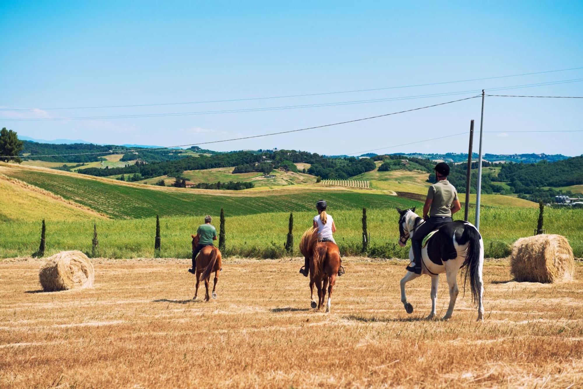 Agriturismo Biologico Diacceroni 빌라마그냐 외부 사진